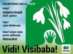https://www.medjimurska-priroda.info/2024/02/vidi-visibaba/