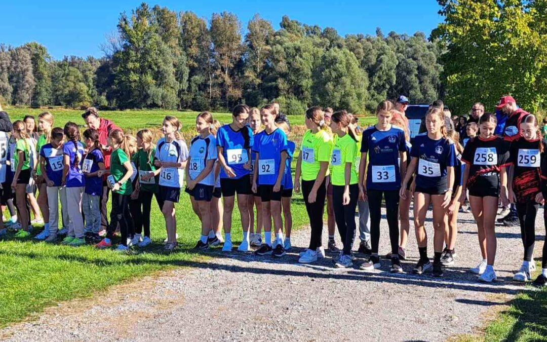 Županijsko natjecanje u krosu